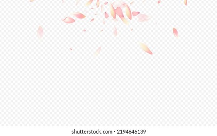 Pink Tree Vector Transparent Background. Blooming Overlay Banner. Peach Aroma Pattern. Leaf Springtime Texture. Red Apple Flying Template.