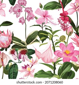 Flor tropical rosa sin costura, brotes y hojas sobre fondo blanco. Floreciente floral para papel de pared, tarjeta de saludo, diseño web, cupón, folletos y banners de diseño. 