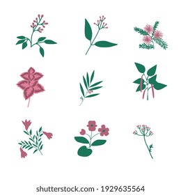 Pink tropical flowers isolated set