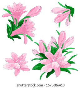 Pink tuberose sticker set on white isolated backdrop. Petal flower bloom for wedding or gift card, pillowcase, bath tile, bed linen. Phone case or cloth print. Cartoon style stock vector illustration