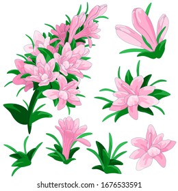 Pink tuberose sticker set on white isolated backdrop. Petal flower bloom for wedding, invitation or gift card, pillowcase, bath tile. Phone case or cloth print. Cartoon style stock vector illustration