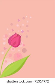pink tulip