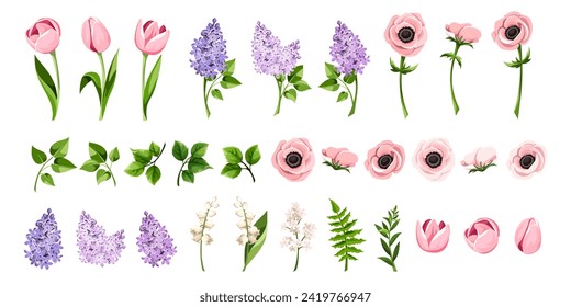 Flores rosadas de tulipán y anémonas, flores de lila, lirio del valle y hojas verdes. Conjunto de elementos de diseño floral vectorial. Ilustración de mano, no IA