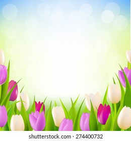 Pink Tulip Border With Gradient Mesh, Vector Illustration