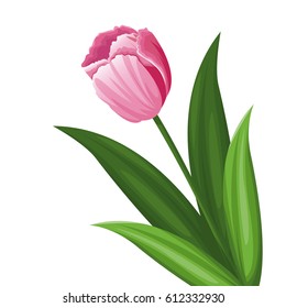 pink tulip flower decoration