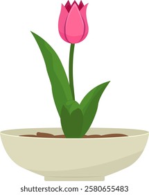 Pink tulip flower in a pot. Flat tulip flower vector illustration
