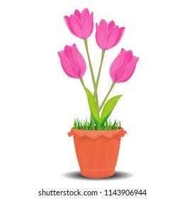 pink tulip flower in pot vector design