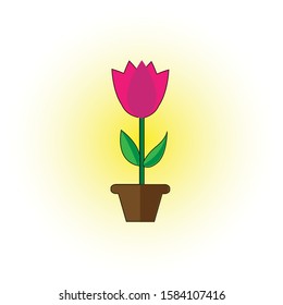 pink tulip flower and pot vector