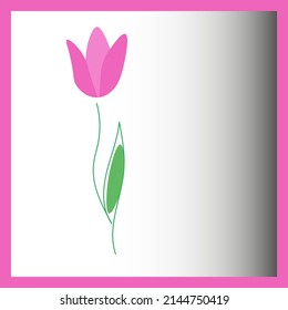 Pink tulip flower in purple frame. Spring postcard. Painted garden plant vintage template. Botanical drawn illustration, vector design eps 10
