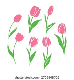 pink tulip flower set design