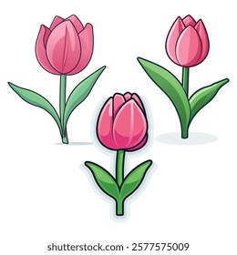 A pink tulip with green leaves Illustration design on a white background.