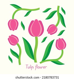 pink tulip with leaf vector design 