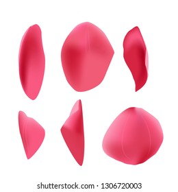 Pink tulip petals isolated on white background. Realistic botanical illustration.