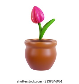 Pink tulip in pot isolated on white background. Realistic modern minimal design element. 3d vector illustration.