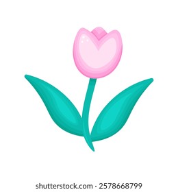 Pink Tulip Vector Clip Art.  Botanical clipart Perfect for cards logo decoration. Vector stock image isolated on white background. Decorative design element for Valentine's Day.