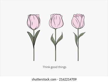 pink tulip vector hand drawn design