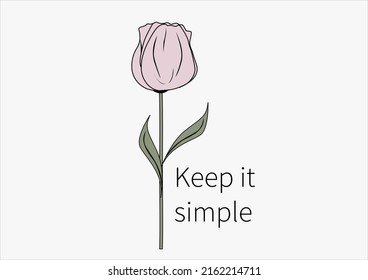 pink tulip vector hand drawn design