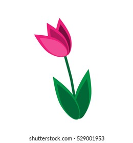 pink tulip vector on white background