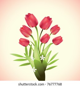 Pink tulips bouquet.Vector