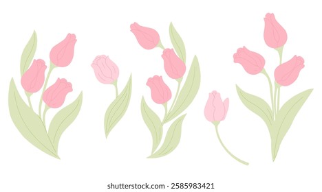 Pink Tulips collection. Isolated spring flowers and bouquets on white background. Vector illustration in pastel colors flat style 