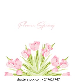 pink tulips, Flower background, flower card vector, flower water