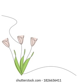 Pink tulips flowers drawing. Vector illustration