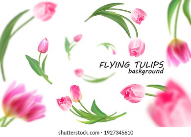 Pink tulips flying. Isolated vector EPS10 background for your design