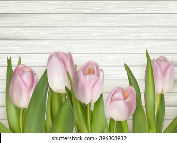Pink tulips over white wood table. EPS 10 vector file included
