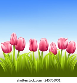 Pink tulips and sky blue vector background