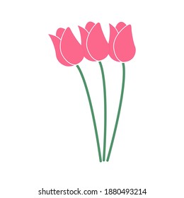 Pink tulips vector art and graphics