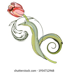 Pink tulips.Naturalistic graphic drawing.Stylization for watercolors.Black outline, silhouette. For decorating interior items, fabrics and printing.Elements for postcards and banners. For the holiday