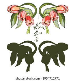 Pink tulips.Naturalistic graphic drawing.Stylization for watercolors.Black outline, silhouette. For decorating interior items, fabrics and printing.Elements for postcards and banners. For the holiday