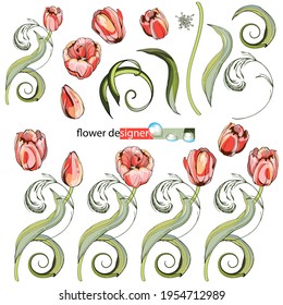 Pink tulips.Naturalistic graphic drawing.Stylization for watercolors.Black outline, silhouette. For decorating interior items, fabrics and printing.Elements for postcards and banners. For the holiday