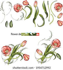 Pink tulips.Naturalistic graphic drawing.Stylization for watercolors.Black outline, silhouette. For decorating interior items, fabrics and printing.Elements for postcards and banners. For the holiday