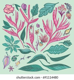 Pink and Turquoise Vector Tropical Plants
Set of trendy colored exotic flowers and leaves for holiday summer design