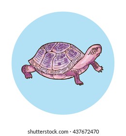 Pink turtle. Outline with watercolor background. Vector illustration.