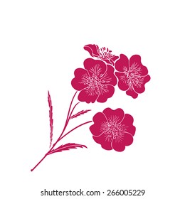  Pink twig floral blossoms. Vector illustration