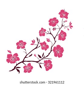 Pink twig sakura blossoms. Vector illustration. Color Silhouette