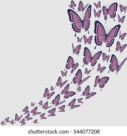 Pink vector butterflies