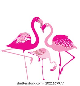 Flamencos vectoriales rosados sobre fondo blanco con plantas. Diseño de muestra con aves flamingo