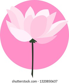 pink vector lotus with long stem. a pink circle on the background. 
delicate logo or icon.