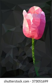 pink vector polygonal tulip on a black triangular background