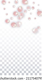 Pétalos realistas del vector rosado caen sobre fondo transparente.  Ilustración de flores románticas primaverales. Pétalos voladores. Diseño del Spa Sakura. Blossom Confetti. Elementos de diseño para el diseño de afiches. 