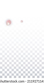 Pink Vector Realistic Petals Falling on Transparent Background.  Spring Romantic Flowers Illustration. Flying Petals. Sakura Spa Design. Blossom Confetti. Design Elements for  8 March Card.