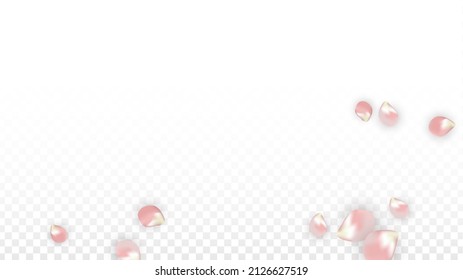 Pink Vector Realistic Petals Falling on Transparent Background.  Spring Romantic Flowers Illustration. Flying Petals. Sakura Spa Design. Blossom Confetti. Design Elements for  St. Valentine Day.