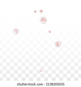 Pink Vector Realistic Petals Falling on Transparent Background.  Spring Romantic Flowers Illustration. Flying Petals. Sakura Spa Design. Blossom Confetti. Design Elements for  8 March Card.