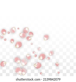 Pink Vector Realistic Petals Falling on Transparent Background.  Spring Romantic Flowers Illustration. Flying Petals. Sakura Spa Design. Blossom Confetti. Design Elements for  St. Valentine Day.