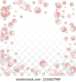 Pink Vector Realistic Petals Falling on Transparent Background.  Spring Romantic Flowers Illustration. Flying Petals. Sakura Spa Design. Blossom Confetti. Design Elements for  Banner Design.