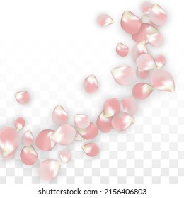 rosafarbene, realistische Petalen, die auf transparentem Hintergrund fallen.  Frühlingsromantische Blumenillustration. Fliegender Petals. Sakura Spa Design. Blossom Confetti. Design-Elemente für Poster-Design. 