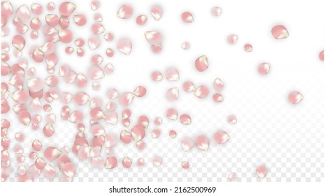 Pink Vector Realistic Petals Falling on Transparent Background.  Spring Romantic Flowers Illustration. Flying Petals. Sakura Spa Design. Blossom Confetti. Design Elements for  St. Valentine Day.